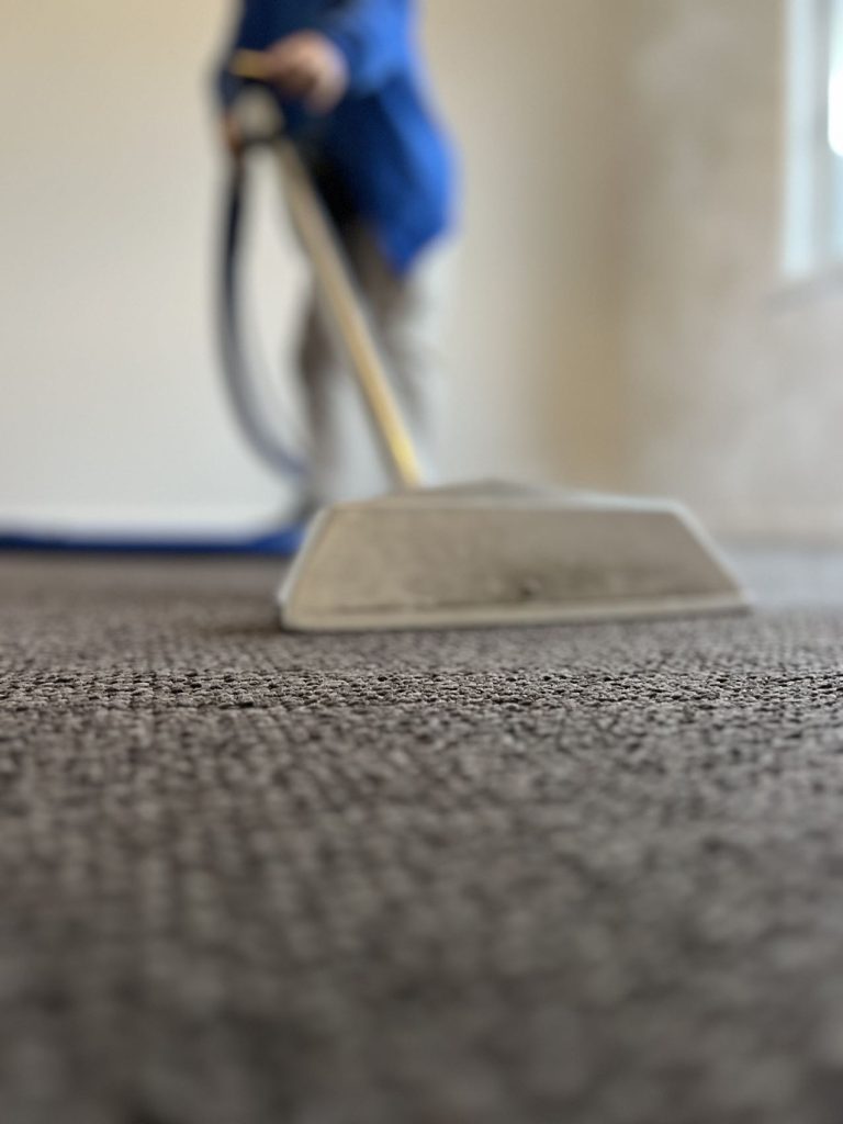 Professional carpet cleaning in progress with a steam cleaner on a grey carpet.