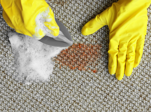 How to Get Stains Out of Carpet, Even Old Ones (8 Methods)