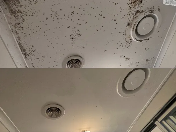 Ceiling mold removal achieving a spotless finish by O2OCleaning - End of Lease Cleaning Melbourne