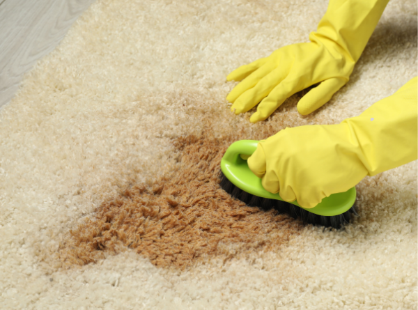 How to Get Stains Out of Carpet, Even Old Ones (8 Methods)