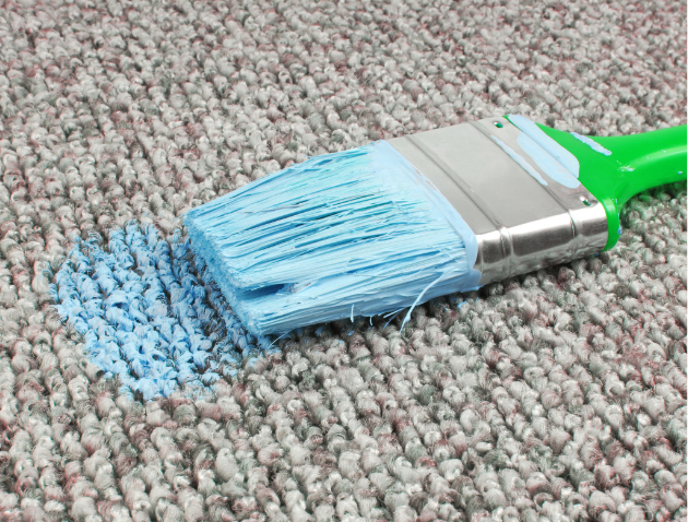 Removing paint stains from carpet before inspection.